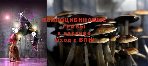 каннабис Арсеньев