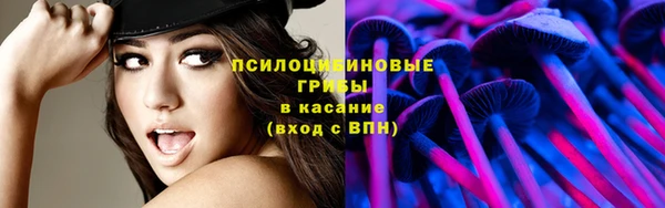 spice Аркадак