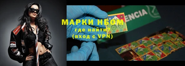 шишки Армянск