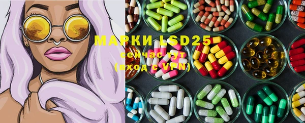 spice Аркадак