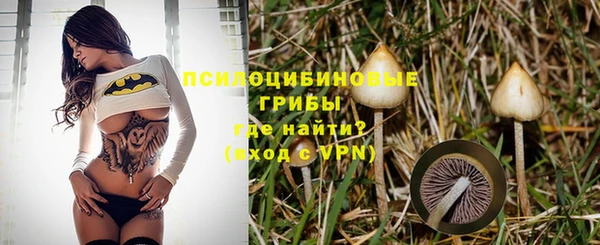 шишки Армянск