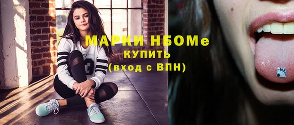 шишки Армянск