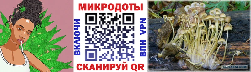 Галлюциногенные грибы MAGIC MUSHROOMS  OMG ТОР  Бабушкин 